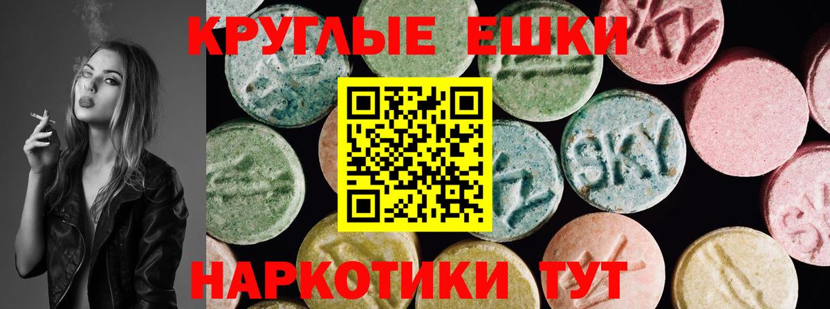 ЭКСТАЗИ Philipp Plein Канск
