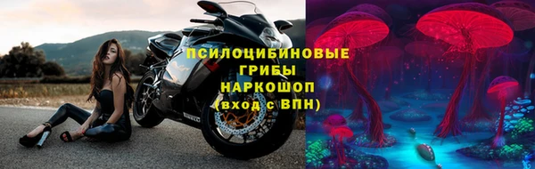 ГАЛЛЮЦИНОГЕННЫЕ ГРИБЫ Усолье-Сибирское