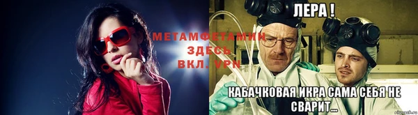 крисы Каменногорск