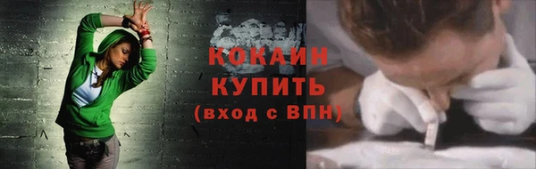 крисы Каменногорск