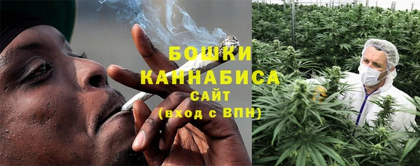 крисы Каменногорск